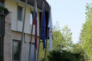 IMG_2740 (800 x 533)