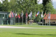 IMG_2743 (800 x 533)