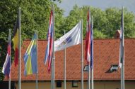 IMG_2748 (800 x 533)