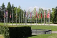 IMG_2762 (800 x 533)