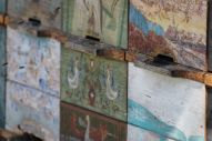 IMG_2777 (800 x 533)