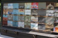 IMG_2780 (800 x 533)