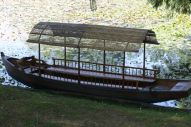 IMG_2800 (800 x 533)