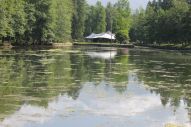 IMG_2801 (800 x 533)