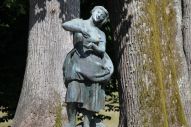 IMG_2810 (800 x 533)
