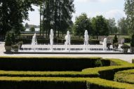 IMG_2813 (800 x 533)