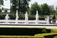 IMG_2814 (800 x 533)