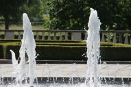 IMG_2815 (800 x 533)