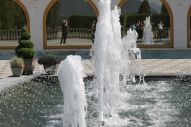 IMG_2816 (800 x 533)