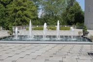 IMG_2820 (800 x 533)