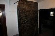 IMG_2833 (800 x 533)