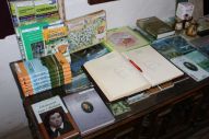IMG_2839 (800 x 533)
