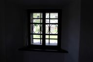 IMG_2849 (800 x 533)