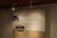 IMG_2869 (800 x 533)