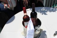 IMG_2878 (800 x 533)