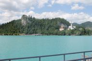 IMG_2896 (800 x 533)