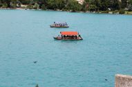 IMG_2898 (800 x 533)
