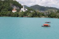 IMG_2899 (800 x 533)