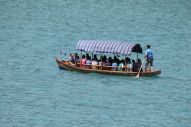IMG_2902 (800 x 533)
