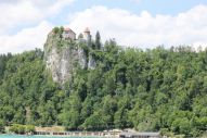 IMG_2904 (800 x 533)