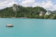 IMG_2914 (800 x 533)