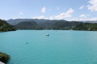 IMG_2915 (800 x 533)
