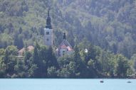 IMG_2939 (800 x 533)