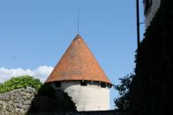 IMG_2987 (800 x 533)