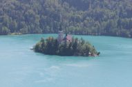 IMG_2997 (800 x 533)