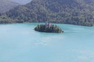 IMG_2998 (800 x 533)