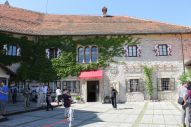 IMG_2999 (800 x 533)