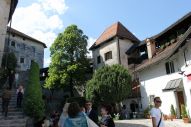 IMG_3001 (800 x 533)