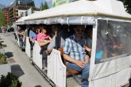 IMG_3004 (800 x 533)