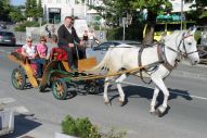 IMG_3008 (800 x 533)