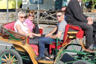 IMG_3009 (800 x 533)