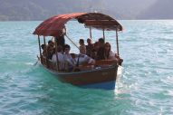 IMG_3016 (800 x 533)