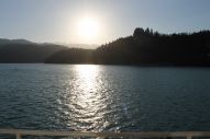 IMG_3022 (800 x 533)