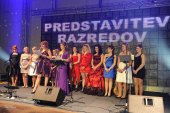 MP_OLM_7874